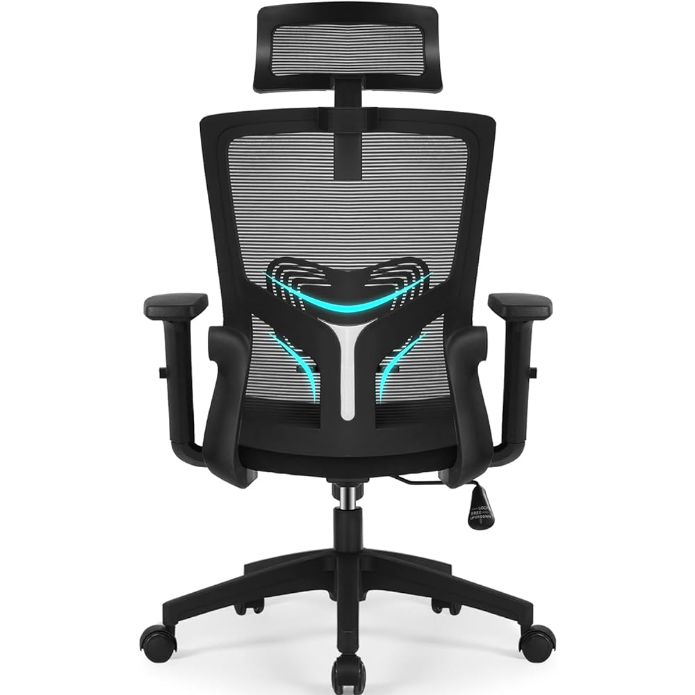 Ergonomic Office Chair with Adjustable Headrest and Lumbar Support