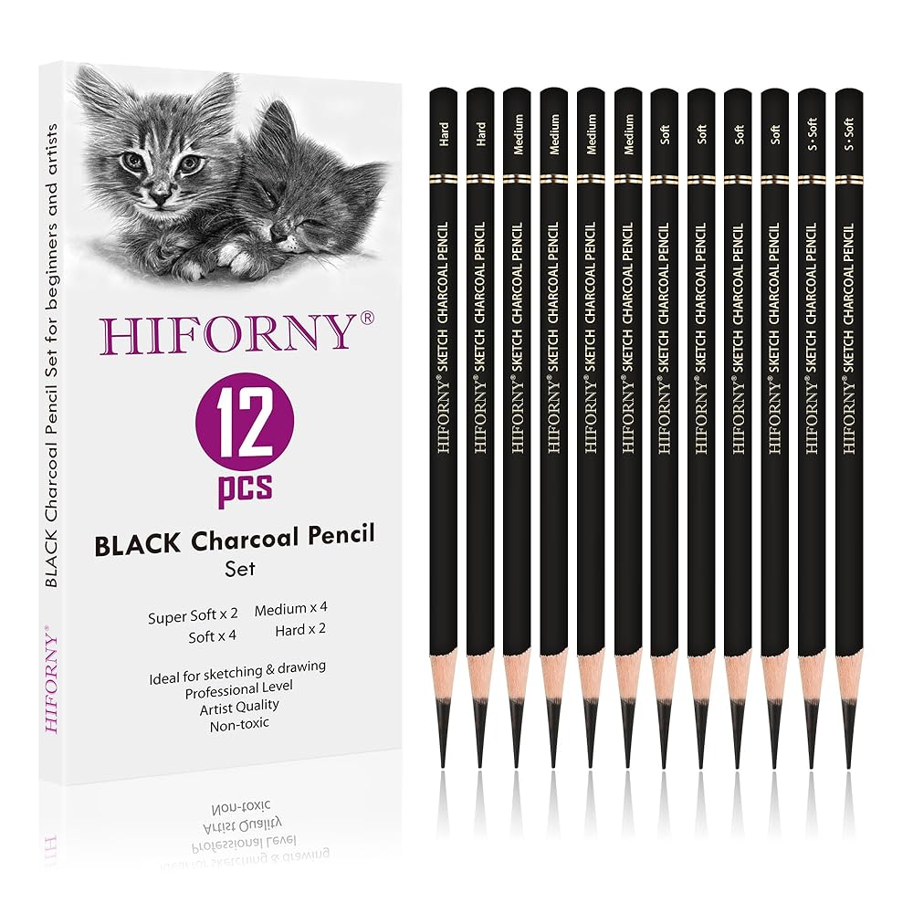 HIFORNY 12-piece Charcoal Pencil Set - Ideal for Drawing, Sketching, and Portrait Art